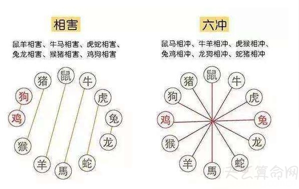 生肖配婚有什么注意事項   生肖婚配不能夠相沖、相害、相刑