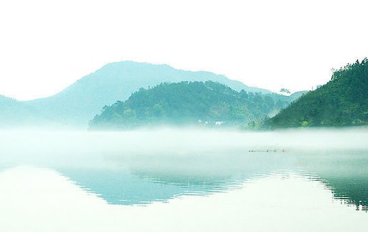 生肖月運(yùn) 屬猴的人2021年8月份運(yùn)勢運(yùn)程詳解